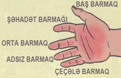 Barmaqlarınıza baxıb xarakterinizi öyrənin