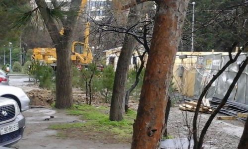 “Tikinti şirkətinin qoçuları qolumuzu sındırıb, başımızı yarır” - VİDEO - YENİLƏNİB