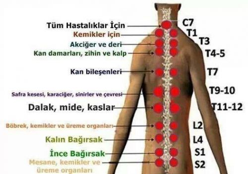 Hicamət barədə bilmədiklərimiz-VİDEO