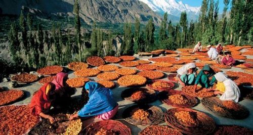  Bu xalq xərçəngə tutulmur, 150 il yaşayır, 65 yaşlı qadınları dünyaya uşaq gətirir