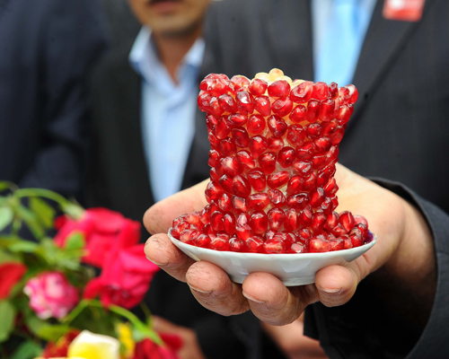 Göyçayda Nar Festivalı keçirildi - FOTO