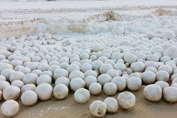 Birdən meydana çıxdı! Görənlər gözlərinə inanmadı... - FOTO