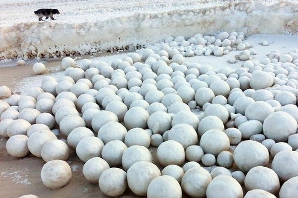 Birdən meydana çıxdı! Görənlər gözlərinə inanmadı... - FOTO