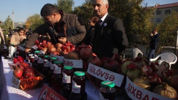 Göyçayda Nar Festivalı keçirildi - FOTO