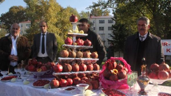 Göyçayda Nar Festivalı keçirildi - FOTO