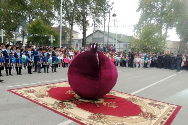 Göyçayda Nar Festivalı keçirildi - FOTO