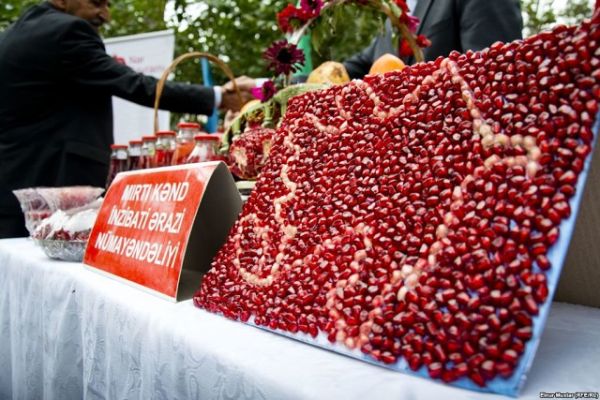 Göyçayda Nar Festivalı keçirildi - FOTO