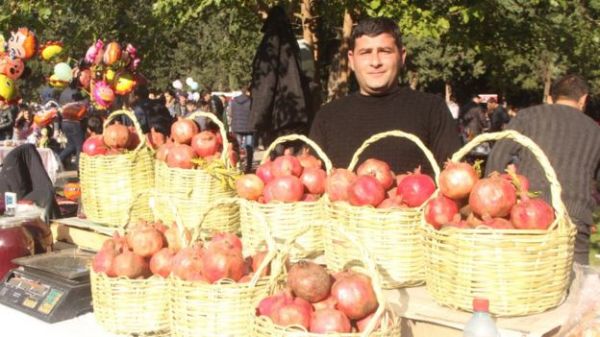 Göyçayda Nar Festivalı keçirildi - FOTO