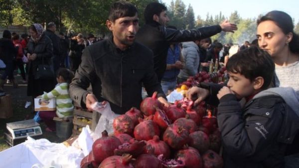 Göyçayda Nar Festivalı keçirildi - FOTO