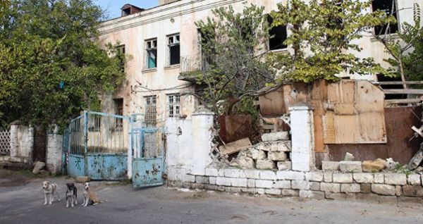 Uşaq bağçasının yerini sahibsiz itlər zəbt edib - FOTO