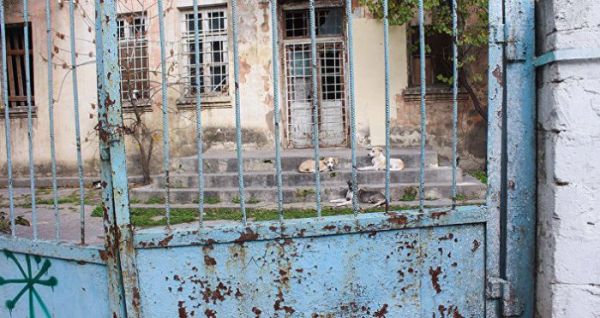 Uşaq bağçasının yerini sahibsiz itlər zəbt edib - FOTO