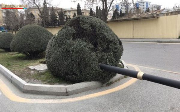 Güclü külək fəsad törətdi - Elektrik dirəyi aşdı - FOTO