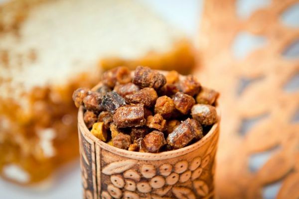 Propolis nədir? - FOTO