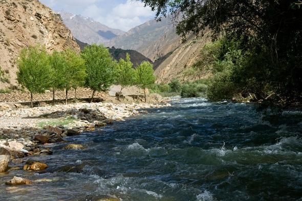 Yer kürəsinin dünyadan xəbərsiz sakinləri – Onlar neçə yaşlarının olduğunu belə bilmirlər - FOTOLAR