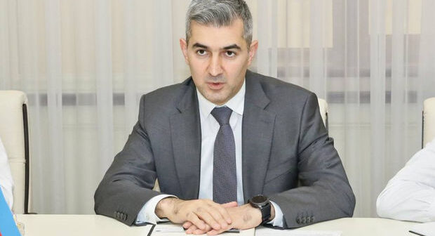 Miqrasiya Xidmətinin rəisi pandemiya dövrünün əsas çətinliyindən danışdı