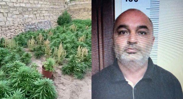 Bakı sakini 64 kiloqram narkotiklə tutuldu – FOTO