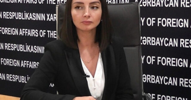 Leyla Abdullayeva AP üzvlərinin birgə bəyanatına münasibət bildirib