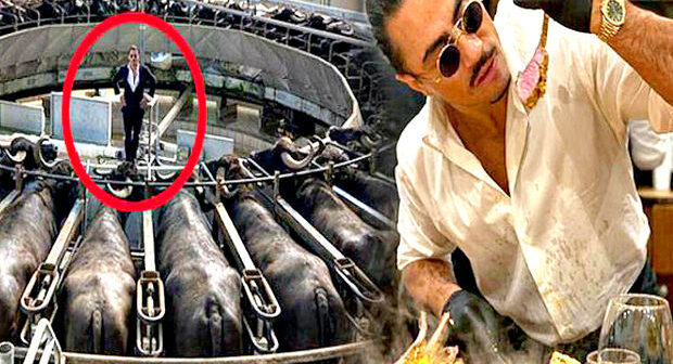 Məşhur aşpazın camış fermasında çəkdirdiyi şəkilini başına qaxınc etdilər – FOTO