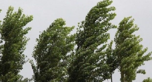 Azərbaycanda havanın temperaturu aşağı düşəcək