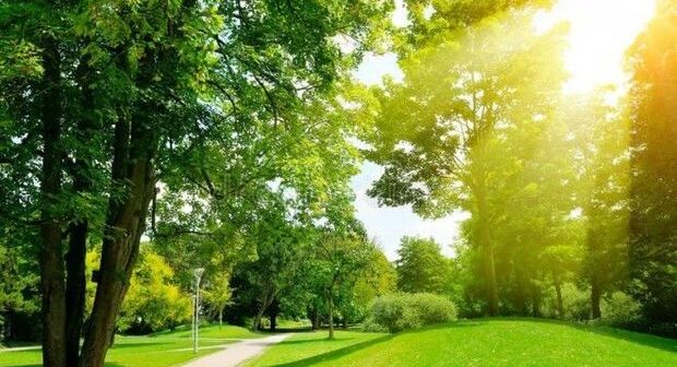 Sabah havanın hərarəti 39 dərəcəyə qədər yüksələcək