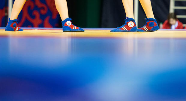 Sambo üzrə beş beynəlxalq yarış barədə qərar verildi