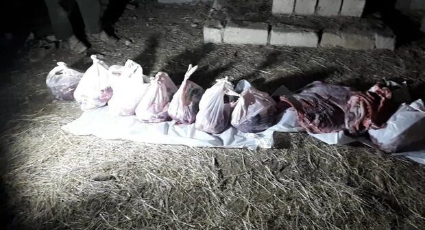 AQTA qanunsuz heyvan kəsimi fəaliyyətinin qarşısını aldı – FOTO