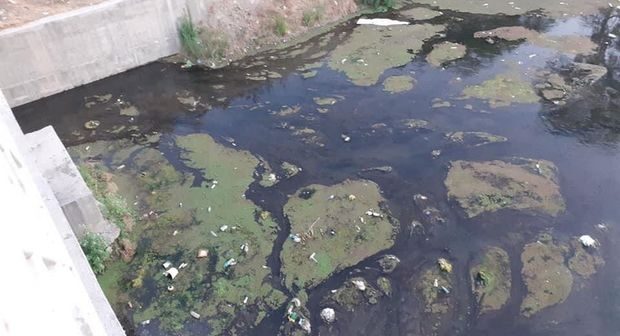 Azərbaycanda daha bir çay ekoloji böhranla üz-üzədir – FOTO