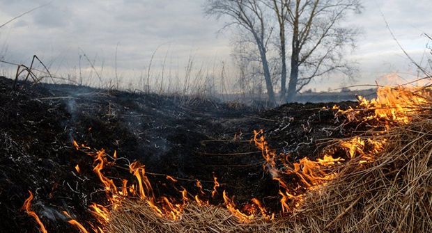 Bakıda qamışlıq və məişət tullantılarının olduğu ərazidəki yanğın söndürüldü