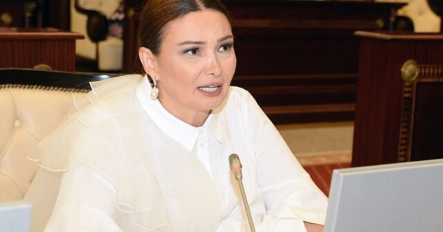 Deputat bəzi qurumlara müraciət ünvanladı