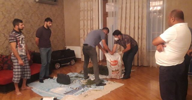 Zaqatalada narkobaron “Çopur Ramiz” və onun cinayətkar şəbəkəsi ifşa edilib