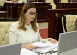 Prezidentin Türkiyədə də əks-səda verən çıxışı… – Paşayeva