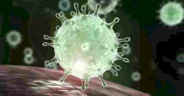 Koronavirusun bitəcəyi tarix – Bill Qeyts açıqladı