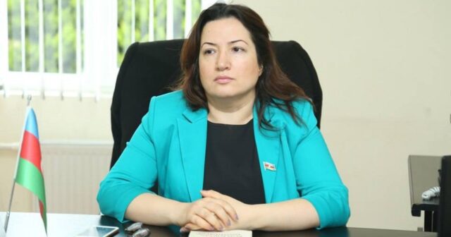 Pərvin Kərimzadə: Paşinyanın Xankəndinə səfəri məkrli planın bir parçasıdır