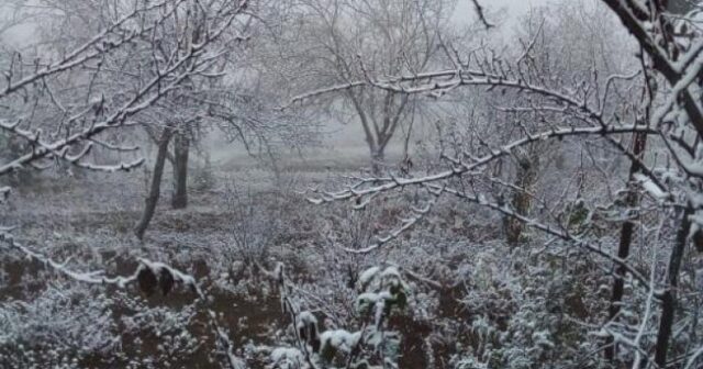 Azərbaycanda qar yağdı – Foto