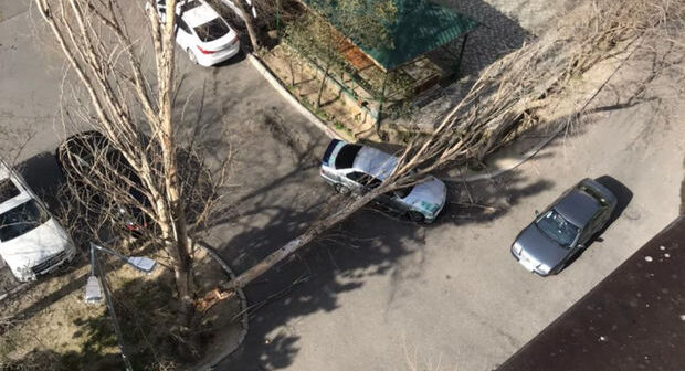 Güclü külək paytaxtda ağacı aşırıb – FOTO