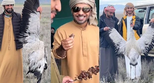 IDEA İB-dən ərəb turistlərin Azərbaycanda ov etməsinə MÜNASİBƏT – FOTO