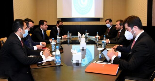 Hikmət Hacıyev Türkiyə Prezident Administrasiyasının idarə sədri ilə görüşüb