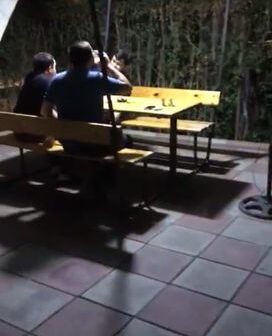 Mingəçevirdə karantin qaydalarını pozan kafe aşkarlanıb – FOTO