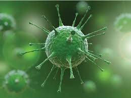 Daha bir virus TƏHLÜKƏSİ – Yoluxanlarının sayı 100-ü ötdü