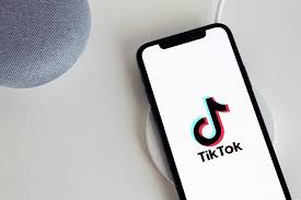 Azərbaycanda 16 yaşlı yeniyetmə “Tik-Tok” paylaşımlarına görə SAXLANILDI