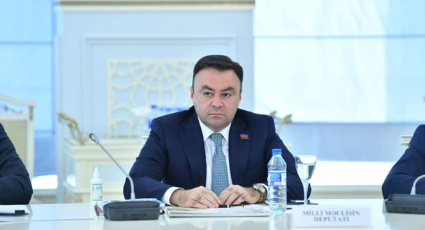 Elnur Allahverdiyev: “Fransa bizə qarşı açıq düşmənçilik edir”