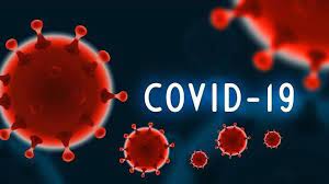 Koronavirusun bütün ştammlarını zərərsizləşdirən anticism tapıldı