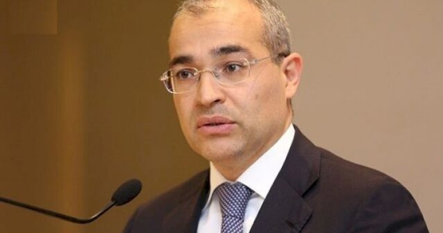 Mikayıl Cabbarov Güləş Federasiyasının prezidenti seçildi