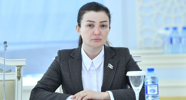 Deputatdan məmurlara ittiham: “Qanundakı boşluqlardan istənilən şəkildə istifadə edirlər” – MÜSAHİBƏ