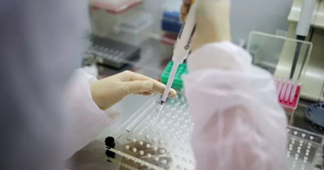 “Omikron”un sürətlə yayılması yaz aylarına qədər davam edə bilər