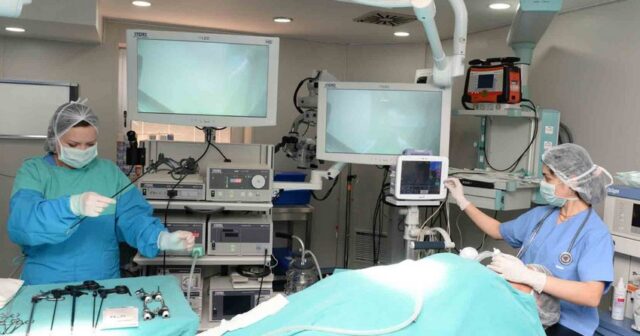 Ortopedik əməliyyat olunan qazilərimizin sayı açıqlanıb