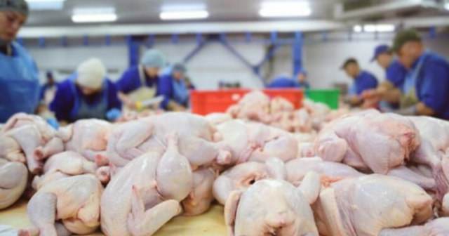Marketlərdə satılan toyuqlarla bağlı şok araşdırma – Dəhşətli bakteriyalar…