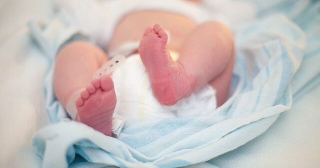 Azərbaycanda doğulan üçəm və dördəmlərin sayı açıqlanıb