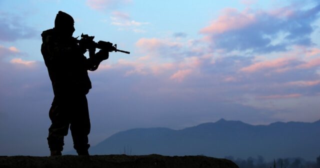 Qanunsuz ov edən şəxslər cəzalandırılıb