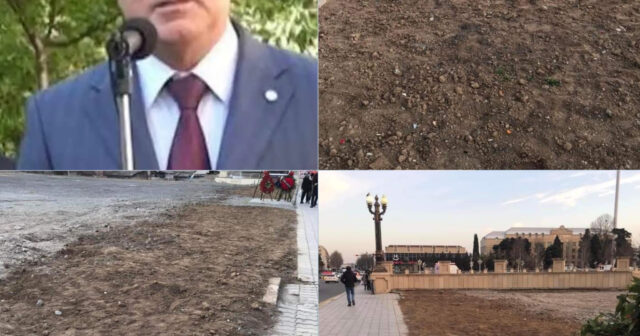 Gəncədə ağac oyunu – İcra başçısı prezidenti aldadır?